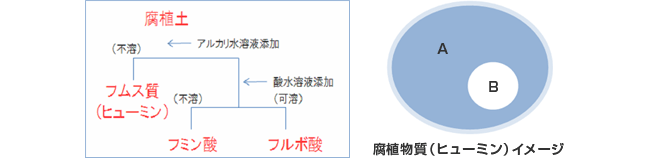 腐植物質(ヒューミン)イメージ