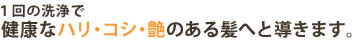 １回の洗浄で健康なハリ・コシ・艶のある髪へと導きます